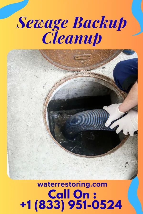 Sewage Backup Cleanup in Buffalo, IA